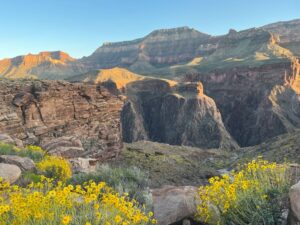 Geological Wonder Grand Canyon history and geology