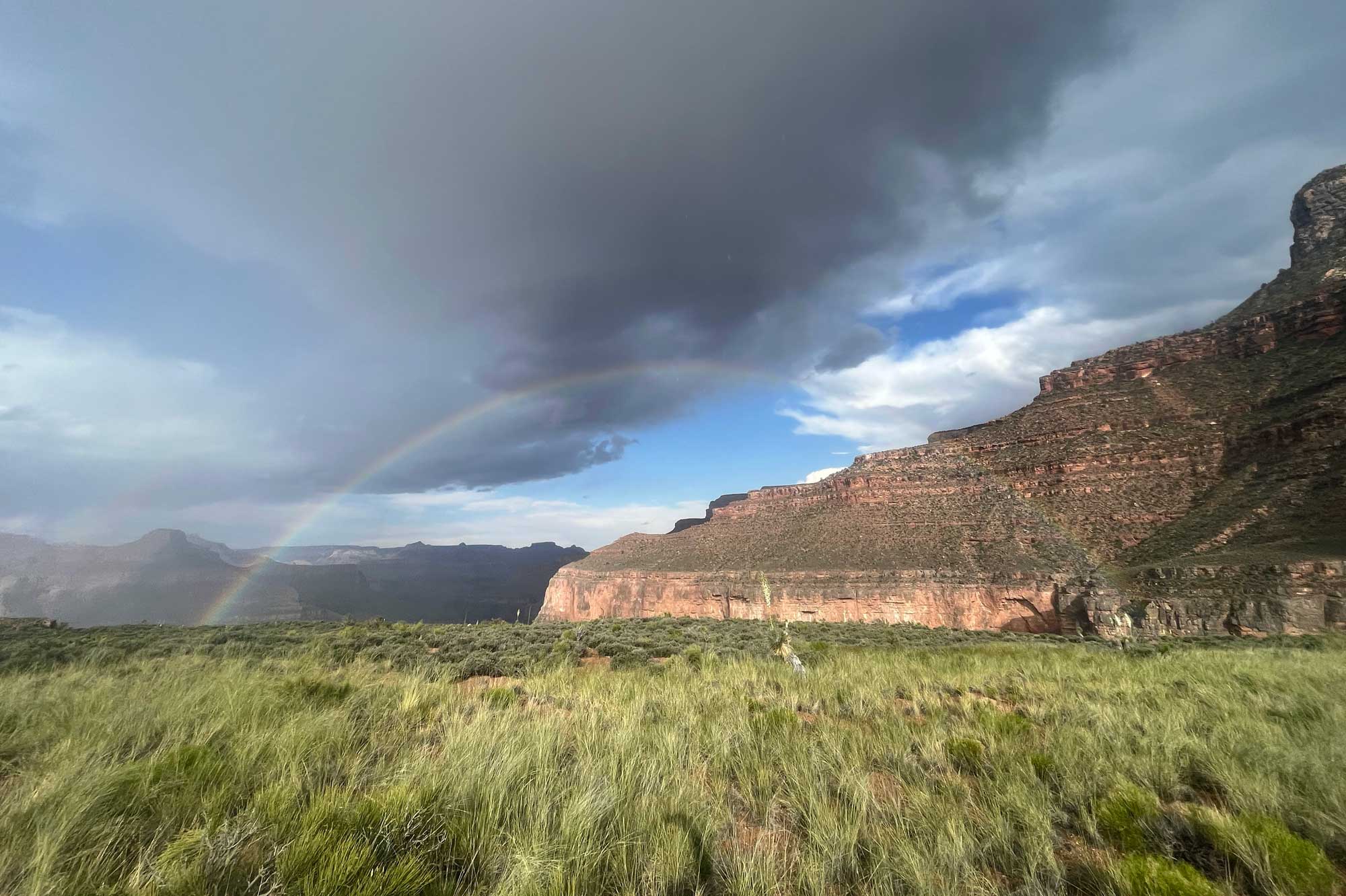 Leave No Trace: Protecting The Desert Ecosystem