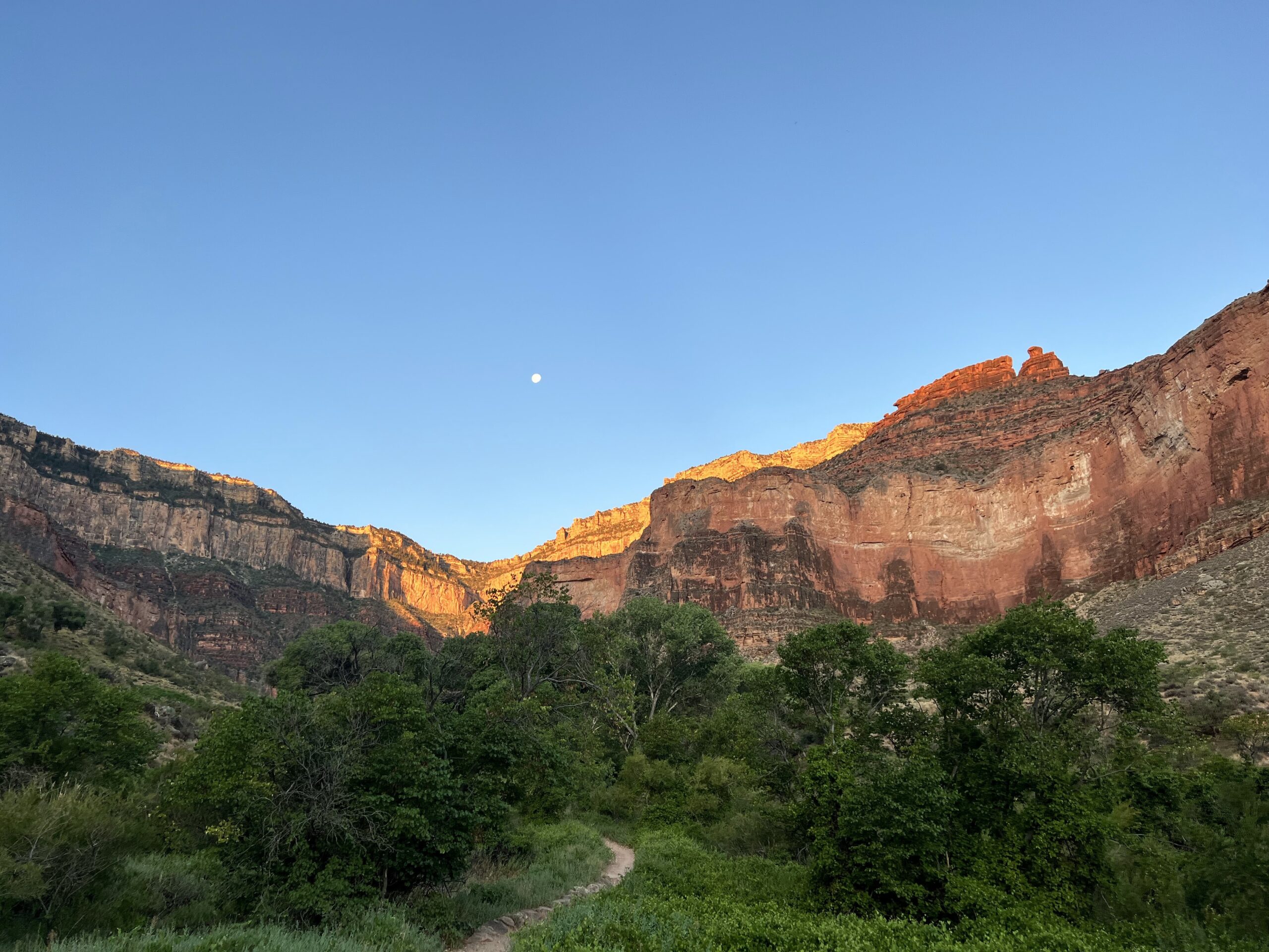 backpacking trips Bright Angel Havasupai Garden Oasis Desert Hiking Backpacking Grape Vines blanket the canyon floor with a full moon in the summertime it doesn't get much better than this with the desert hiking company for guided hikes and adventures to help you connect with nature and reflect within yourself. intentional hiking trips. bright angel trail